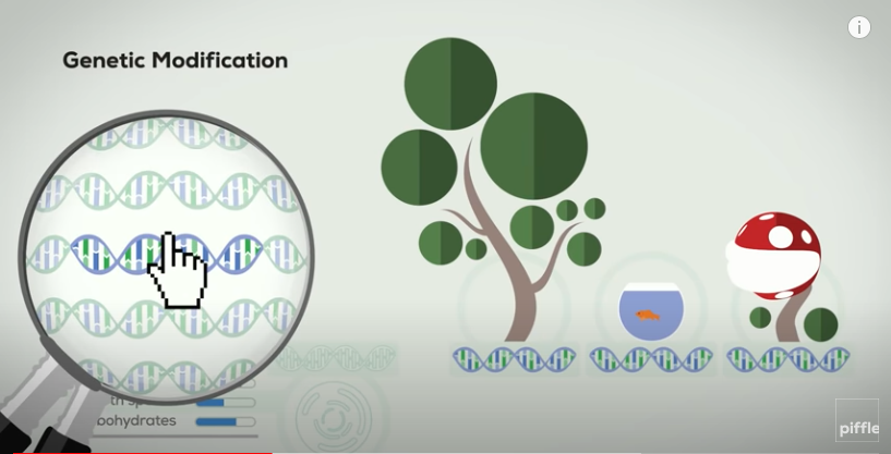 Illustration of a tree