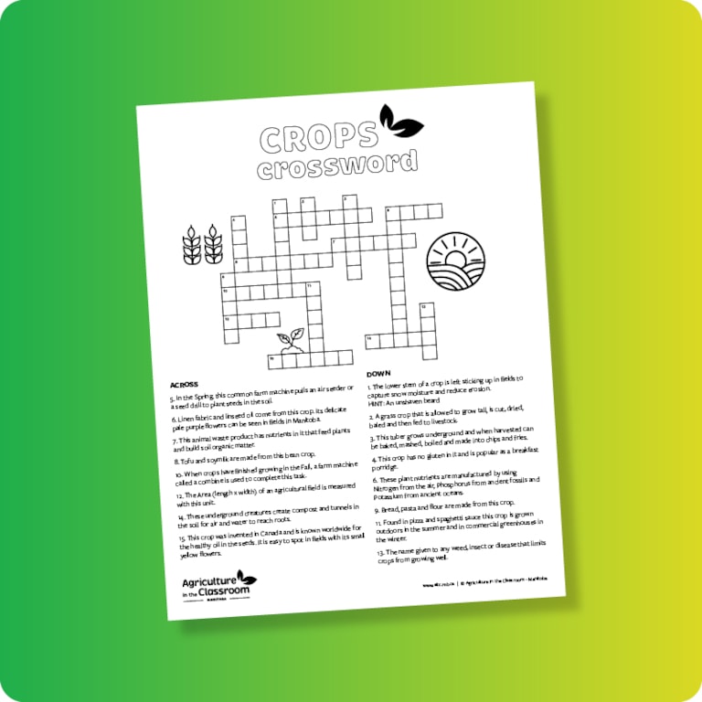Middle years crops crossword sheet on green and yellow gradient background