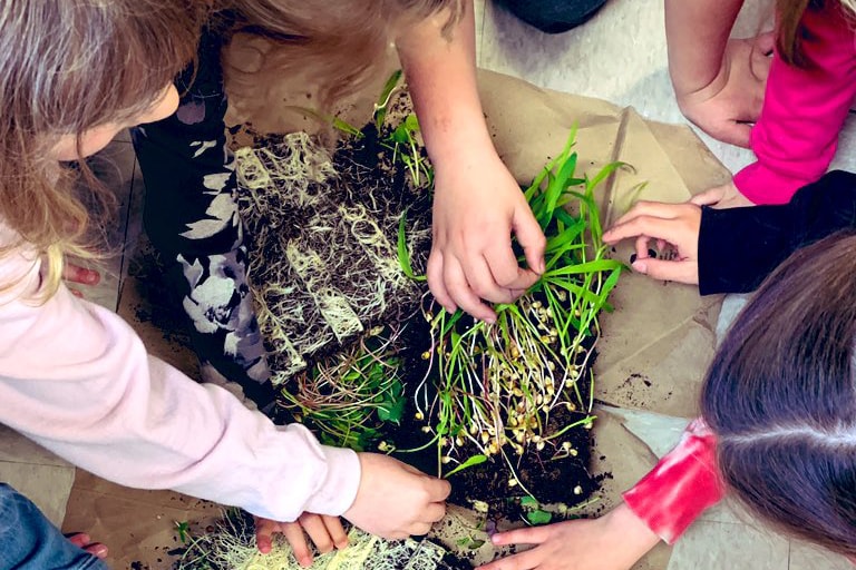 Two early years students with plants in classroom 
