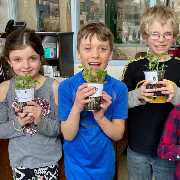 Three early years students with sprouting plants in classroom 