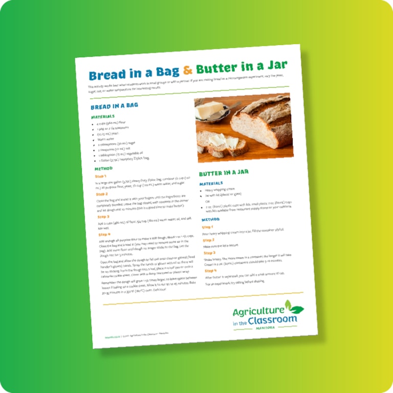 Bread in a Bag and butter in a jar teacher guide cover on green and yellow gradient background