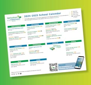 School calendar on green and yellow gradient background