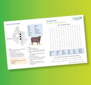 All About Beef activity sheet on a yellow and green gradient background