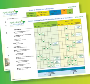 Screenshot of a Grade at a Glance summary sheet
