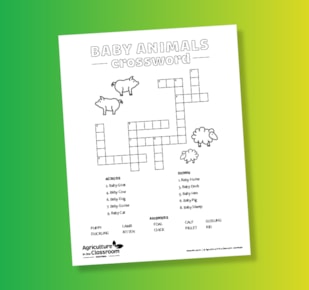 Baby Animals crossword sheet on green and yellow gradient background