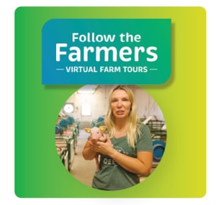 Hog farmer holding a piglet besides the Follow the Farmers wordmark logo set on a green and yellow gradient background
