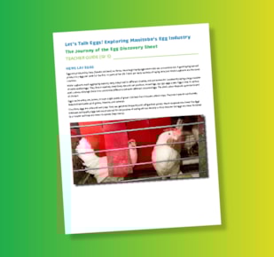 Let’s Talk Eggs teacher guide page on green and yellow gradient background