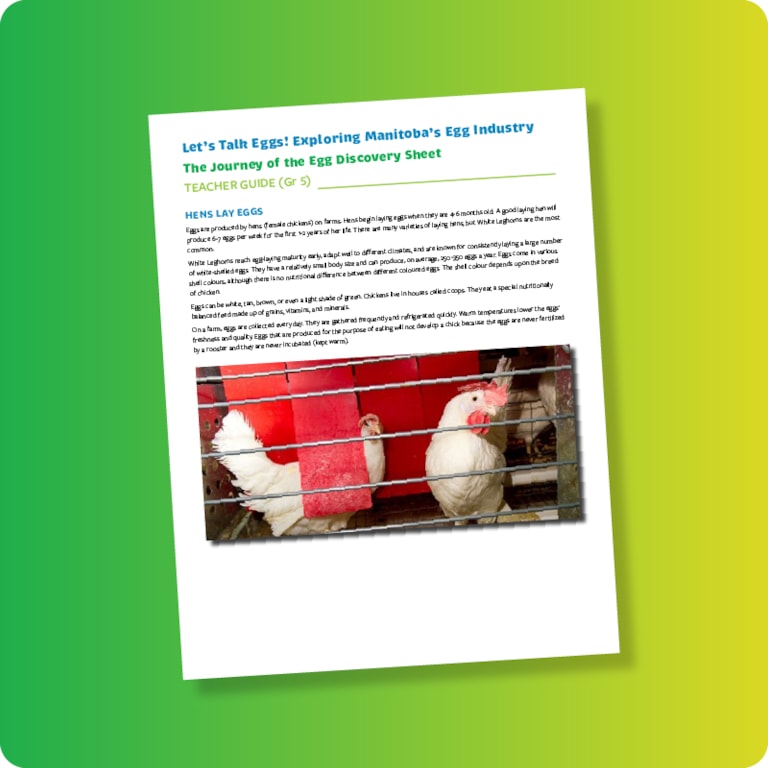 Let’s Talk Eggs teacher guide page on green and yellow gradient background