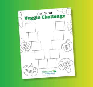 The Great Veggie Challenge worksheet on green and yellow gradient background