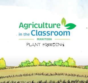 Plant Breeding Cover Photo