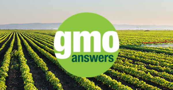 GMO Answers