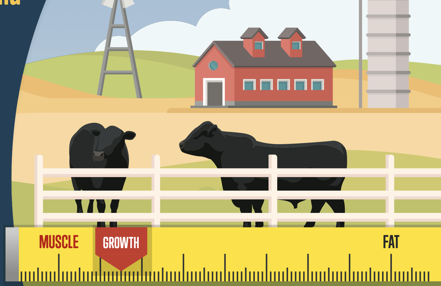 Worried About Hormones in Cattle Cover Page