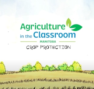 Crop Protection Cover Image