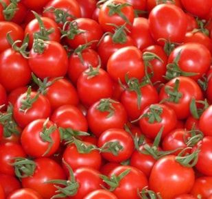 There are no fish genes in tomatoes cover photo
