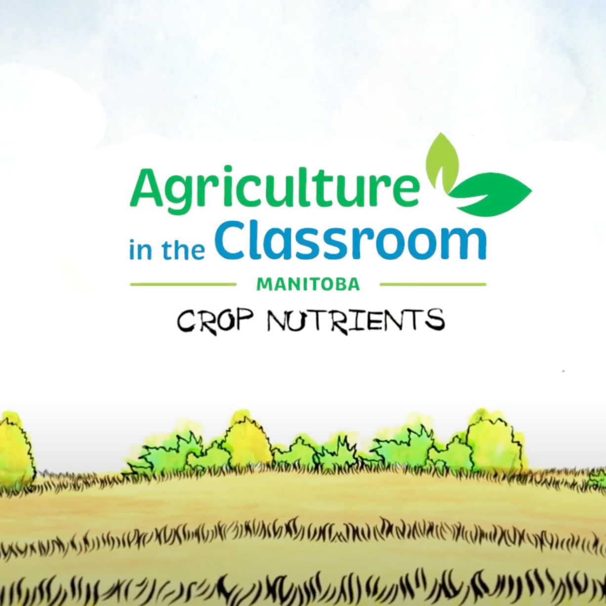 Crop Nutrients Cover Photo
